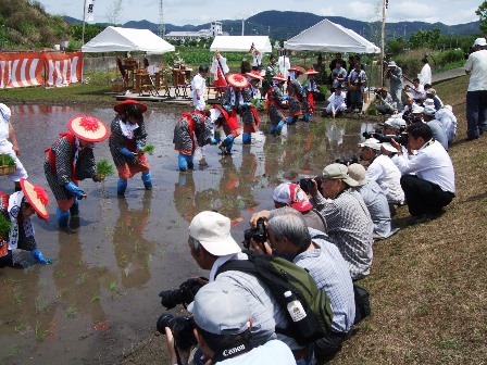 お田植祭